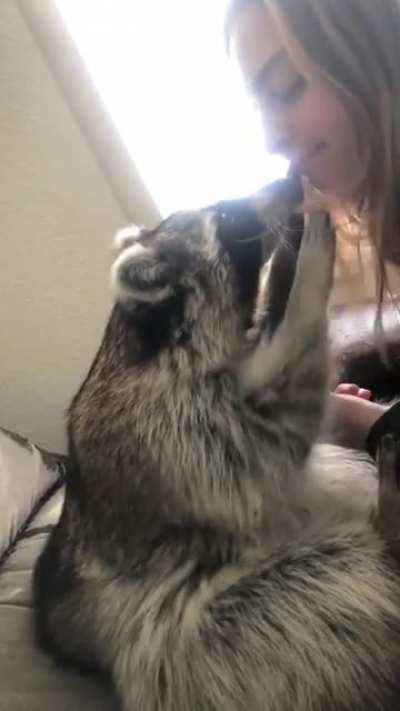 Such a gentle boy…