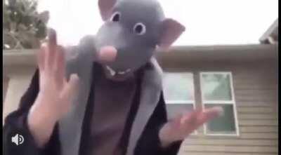 Remy keeping us on the right path