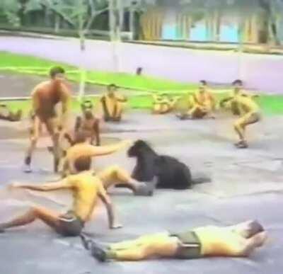O.G Brazilian Army exercise routine.