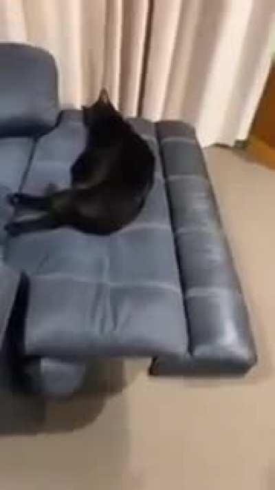 Assessing the optimal reaction to the human you see every day