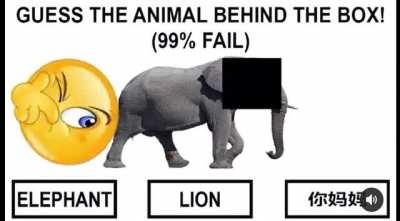 Excuse me but what on gods green earth did I just watch