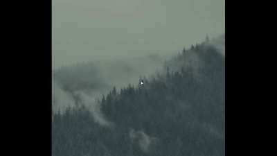 [hyprland] Ollama integration with Walker, power profiles and fixes - dotfiles v1.2.0 update - automatic installer with full config