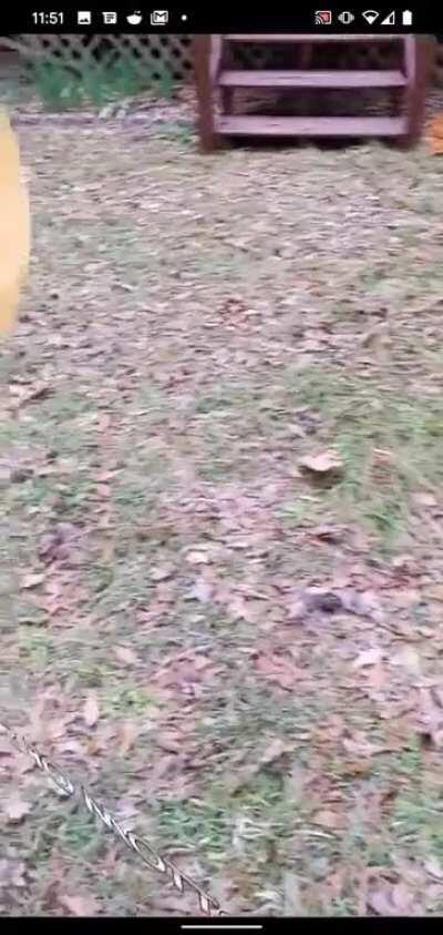 I programmed the entire Solar System in augmented reality. I wanted to be able to walk around the planets and moons. I've made a lot of changes since this video but the main idea is the same. Would you all use an app like this?