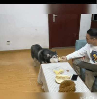 Очень вкусный дуриан 😋