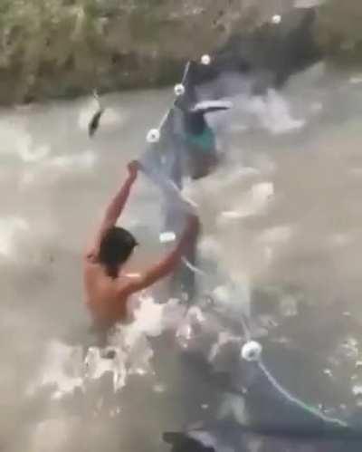 Teach a man to fish..