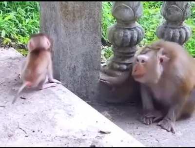 The look of a loving mother.