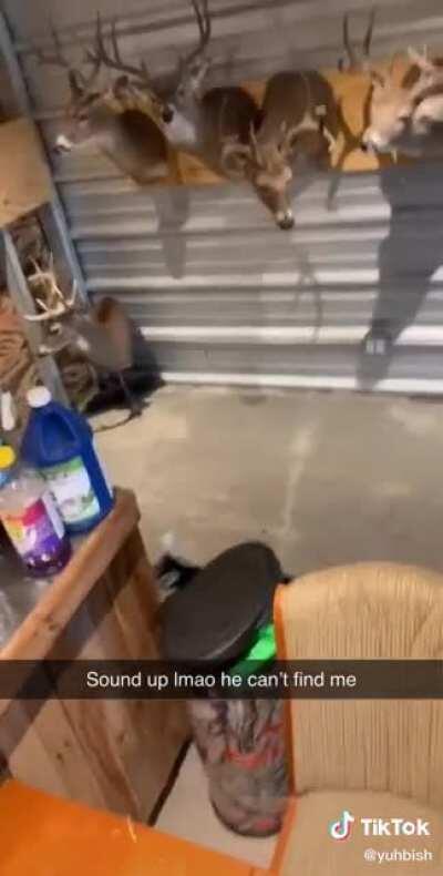 Buy A Goat They Said...