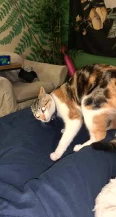 Another greebles attack