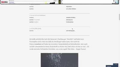 this is how survivio looked like in 2015??