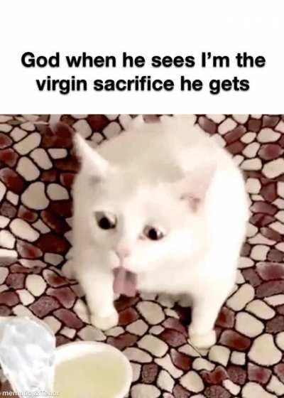 Not even good enough for that