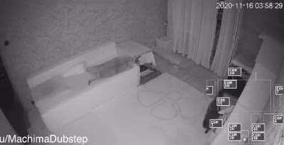 Five nights at floppas