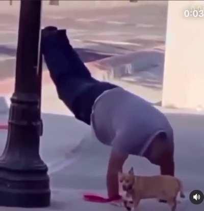 The dog so disappointed for that to be his owner bro lookin away