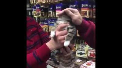 Been watching this daily for a long time