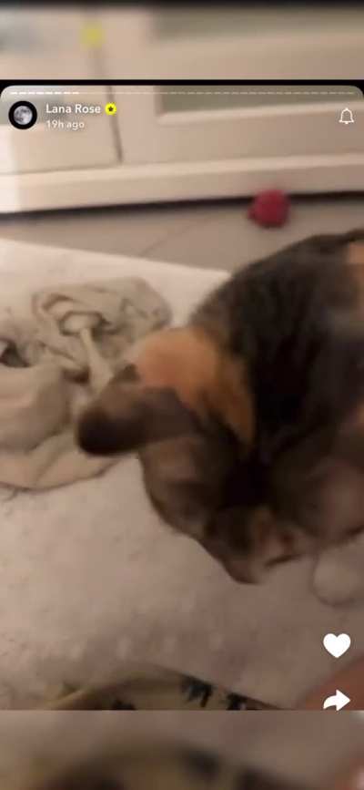 Lana Rose Toes/feet ❤️ toe wiggle