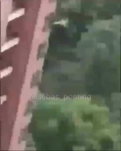 skdjksja tr0leado luch0