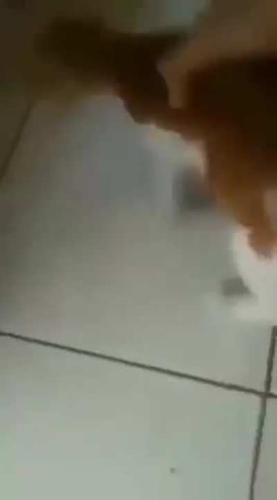 Jzjxncklaoppxjcbzzzzbzvzzzzzzczccxvzzz