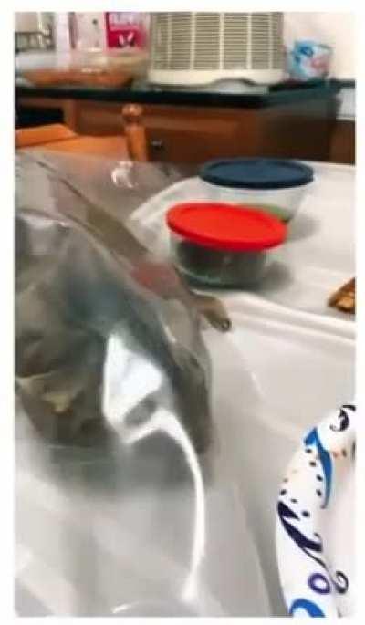 You won’t even notice I’m here