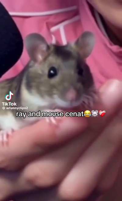 Ray Ai is getting out of hand😭