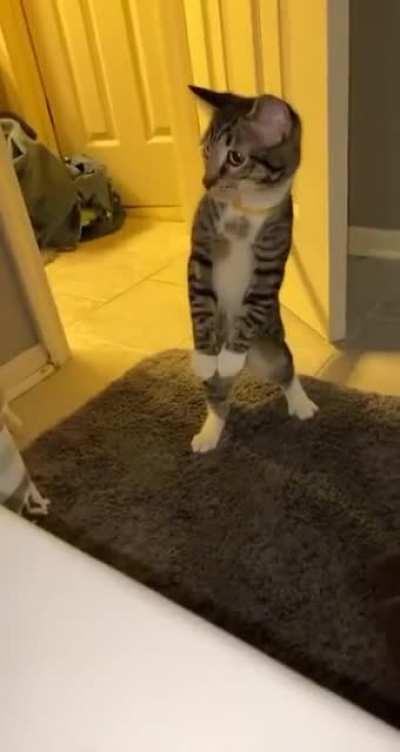 Don't get too close to the bath