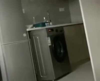My laundry people need me!