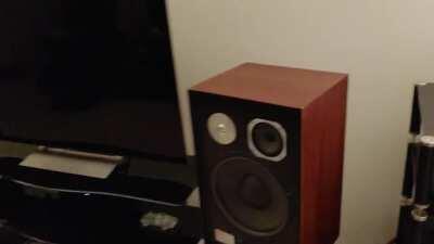 Just finished restoring a beat up pair of JBL L166s