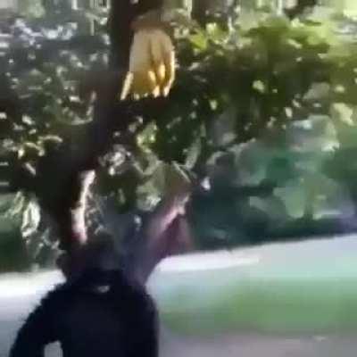 OneSecondBeforeDisast - Video #8310