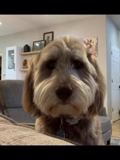 When one lil kiss makes him understand late-stage capitalism.