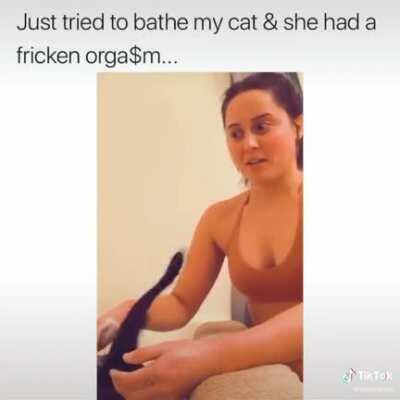She really enjoyed that (at least the cat did)