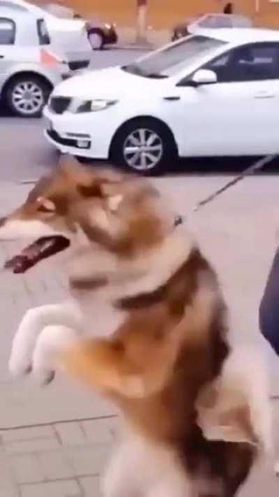 All fours are overated!