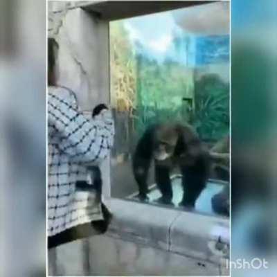 Acho que posso falar que é meu pq o vídeo original não tinha áudio 😑