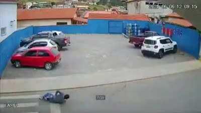 Los perros también atropellan.