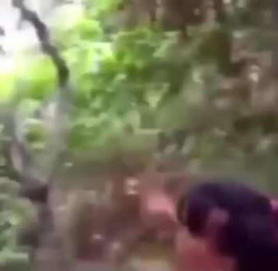 Being a Disney princess