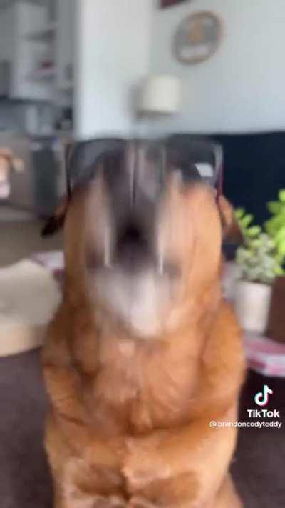 “Wait for the drop”