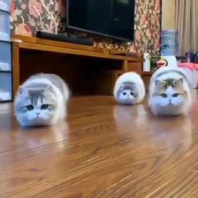 They're coming for you.