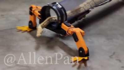 Who else wants legs?