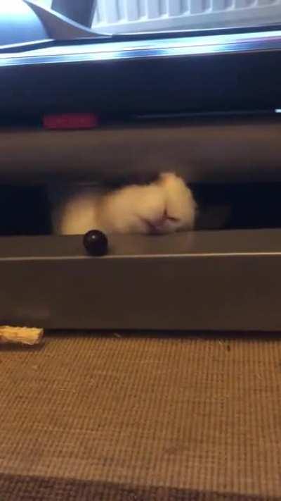 The struggle is real.