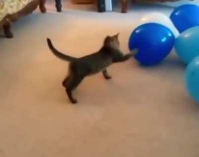 This is why we fight!!