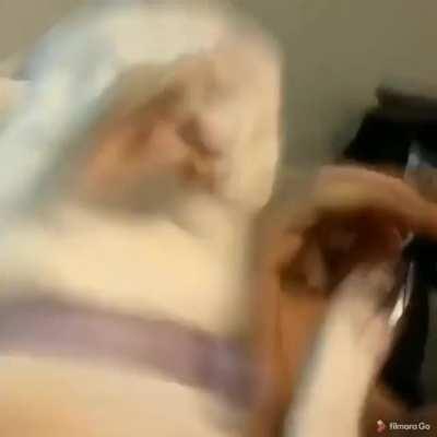 Filming with angry pet