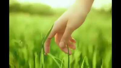 Please, Touch, Grass, Now