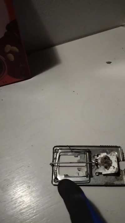 A BASIC mouse trap Works like this