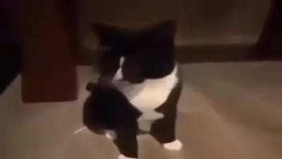 Day 1 of posting until I get 15k karma 