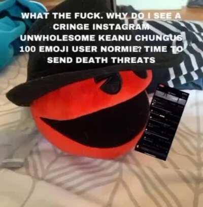 An average life of a Redditor