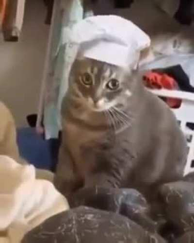 Look at this dedicated worker preparing the days bread!!