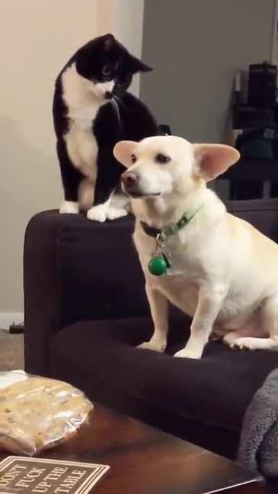 It was a prank bro! Can't you see the camera!