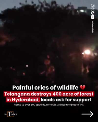 This needs Immediate Attention