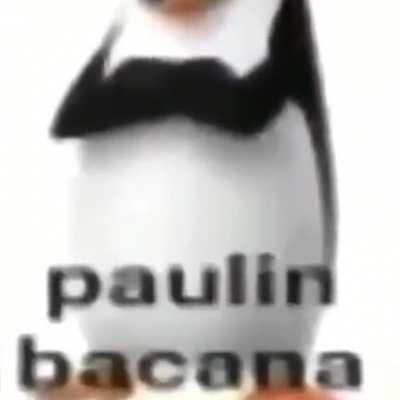 Imagens do ser mais proximo do deus da morte