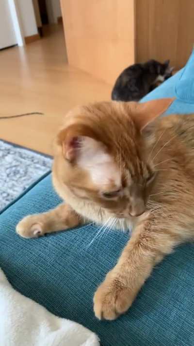 Very accurate fortune cookie