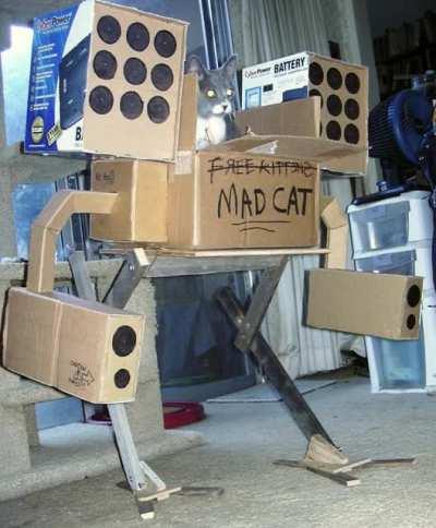 the metal cat