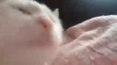 My friend make this for me