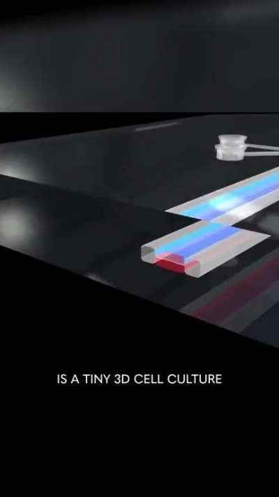 This is both good and interesting 